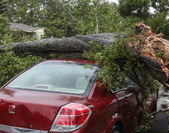 Weather Damaged Junk Car For Cash